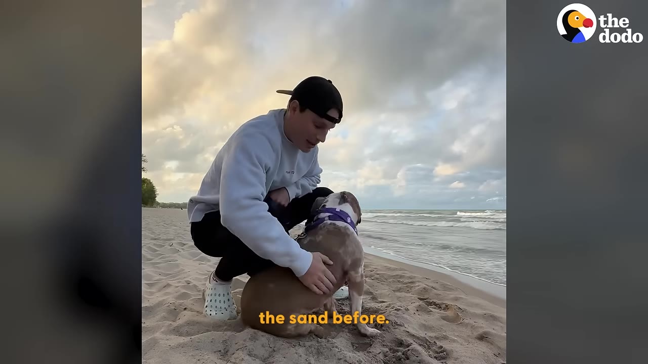 A man in a white sweatshirt and black cap crouches on a sandy beach next to a brown and white dog, petting her as they look out at the ocean waves.