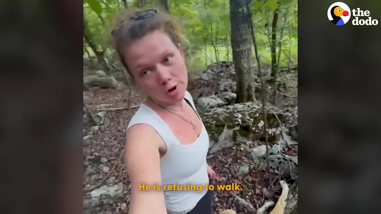 A woman in a white tank top stands in a wooded area looking concerned, with text on screen reading 'He is refusing to walk.'