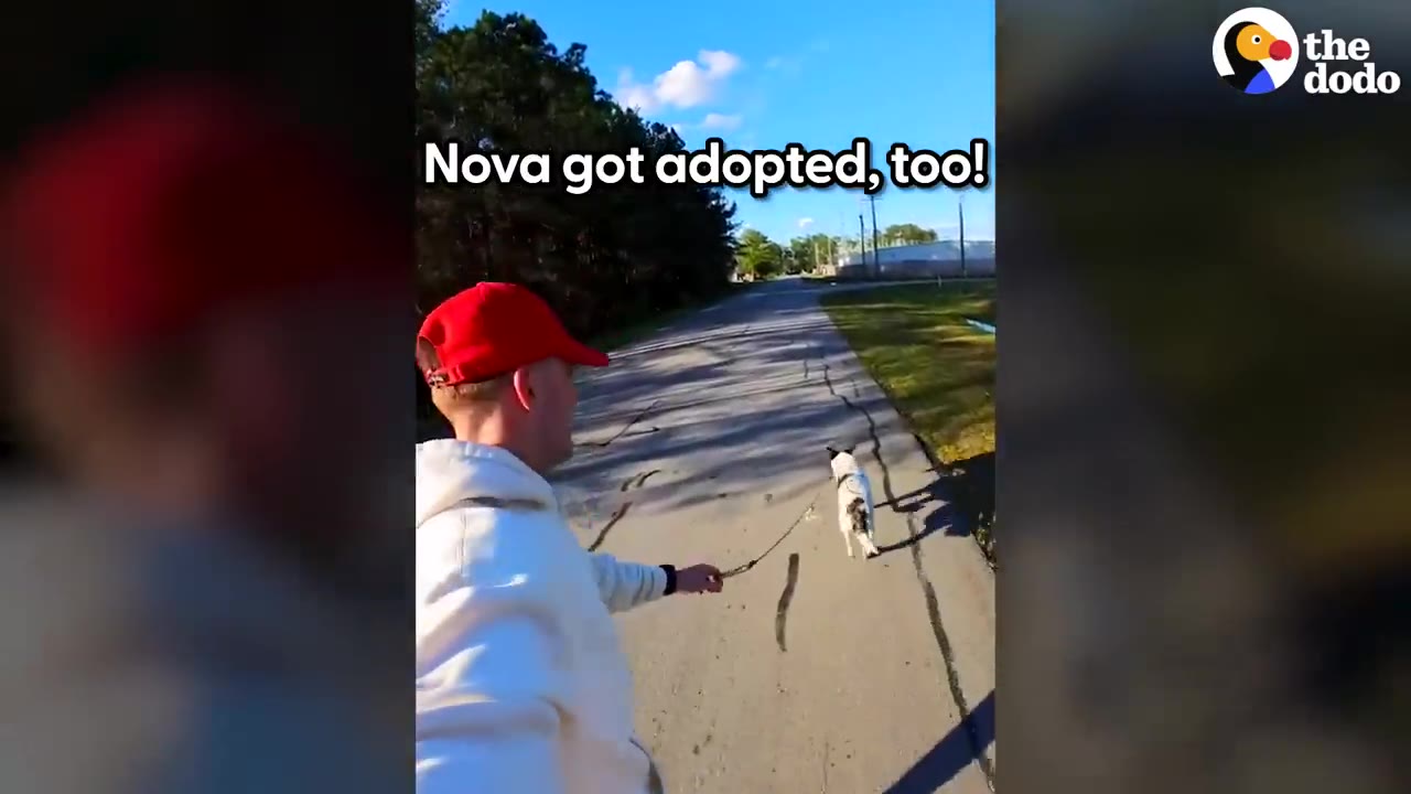 A man in a red hat and white sweatshirt running down a paved road while walking a small black and white dog named Nova on a leash.