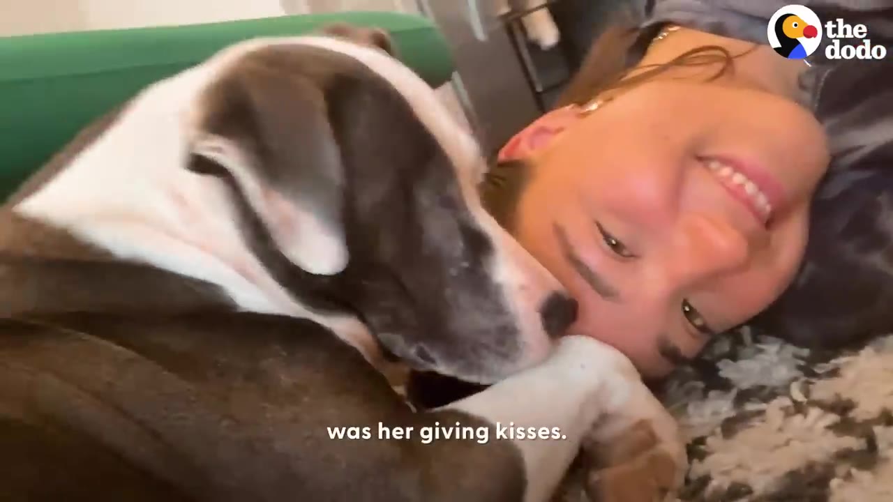 A close-up shot of a grey and white dog nuzzling and licking the face of a smiling woman lying on the floor.