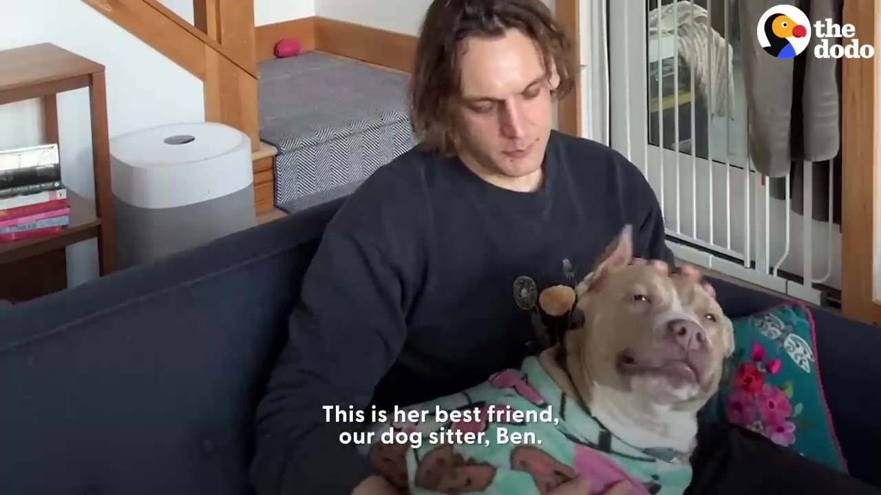 A man sitting on a blue couch petting a tan pit bull wearing patterned pajamas on his lap.