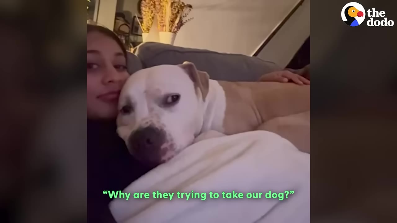 A woman cuddles a white and tan dog on a couch, looking protective, with a subtitle that reads, 'Why are they trying to take our dog?'