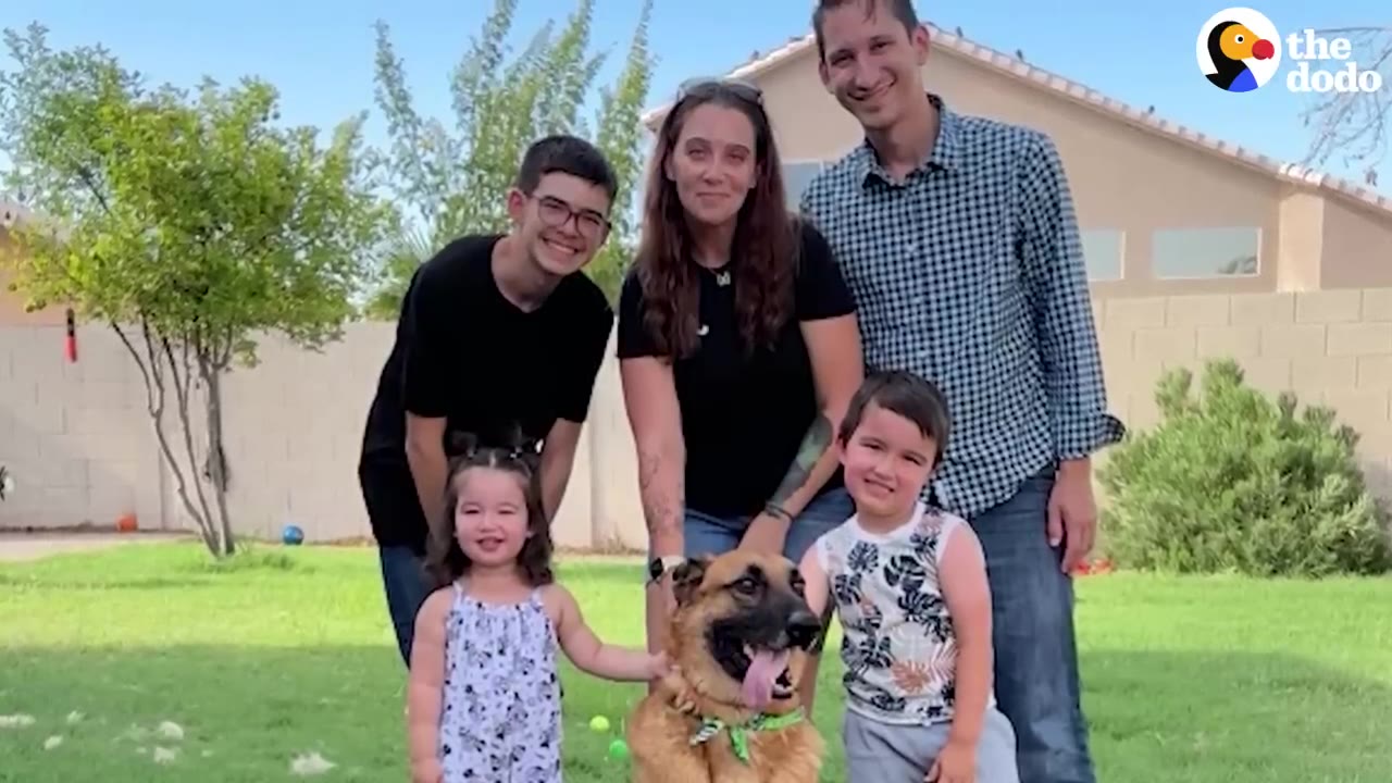 A family of five smiling and posing together on a grassy lawn with their German Shepherd dog sitting in front.