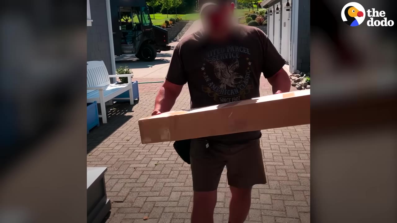 A delivery person holding a long cardboard parcel outside a residential home.