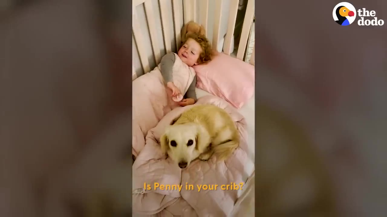 A young girl lying in a crib under a pink blanket beside a small cream-colored dog.