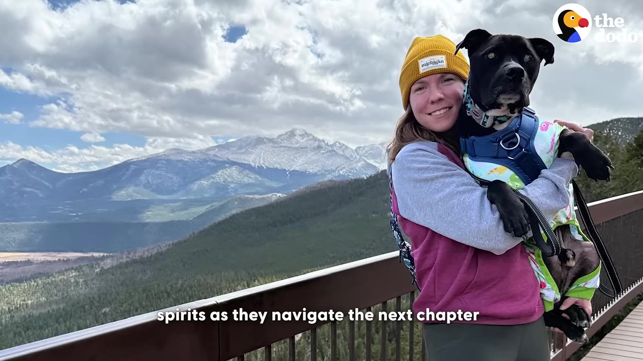 A smiling woman wearing a yellow beanie holds a black dog wearing a colorful harness and shirt, with a scenic mountain range under a cloudy sky in the background.