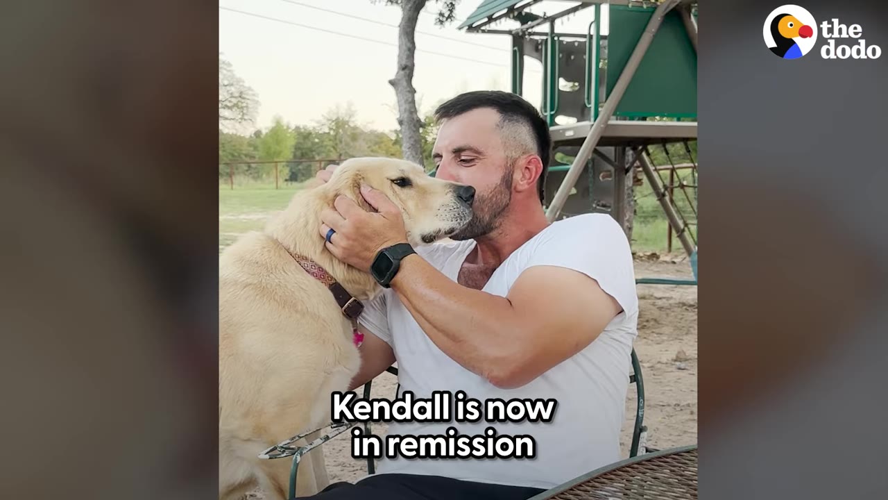 A man in a white t-shirt gently holding and kissing a golden retriever outdoors.