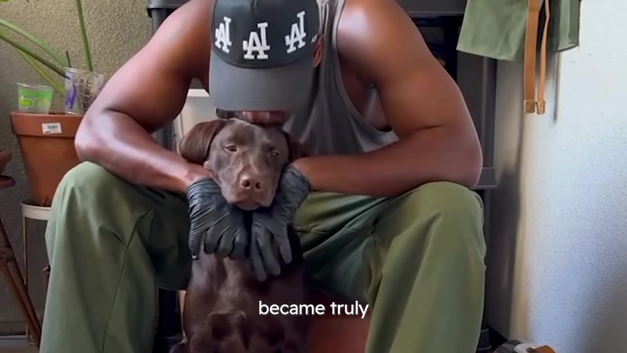 A man wearing a grey tank top and a baseball cap cradles a brown dog's head in his gloved hands, kissing the top of the dog's head.