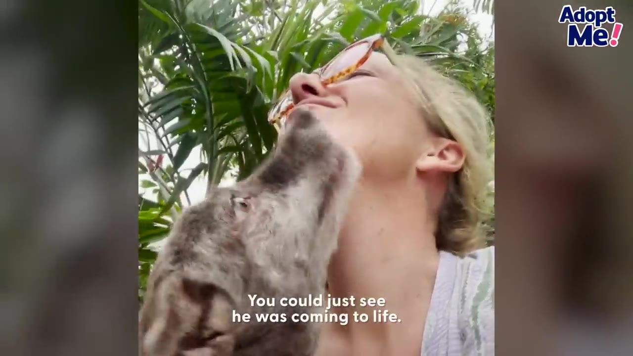 A smiling blonde woman wearing sunglasses receives a kiss on the chin from a scruffy grey dog outdoors with green foliage in the background.