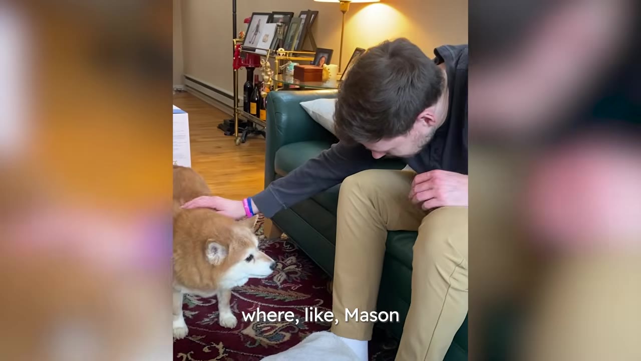A man sitting on a green couch leans forward to gently pet a Shiba Inu dog standing on a patterned rug.