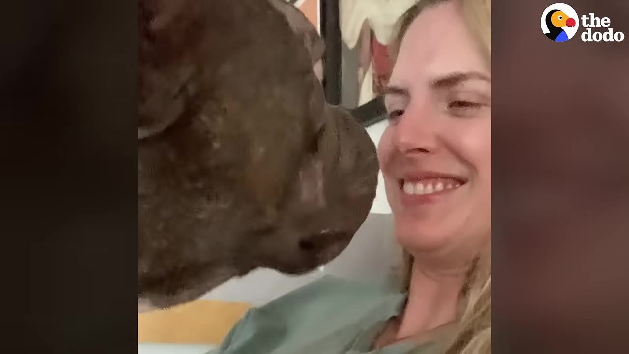 A close-up of a smiling woman with blonde hair as a dark-furred dog nuzzles her face affectionately.