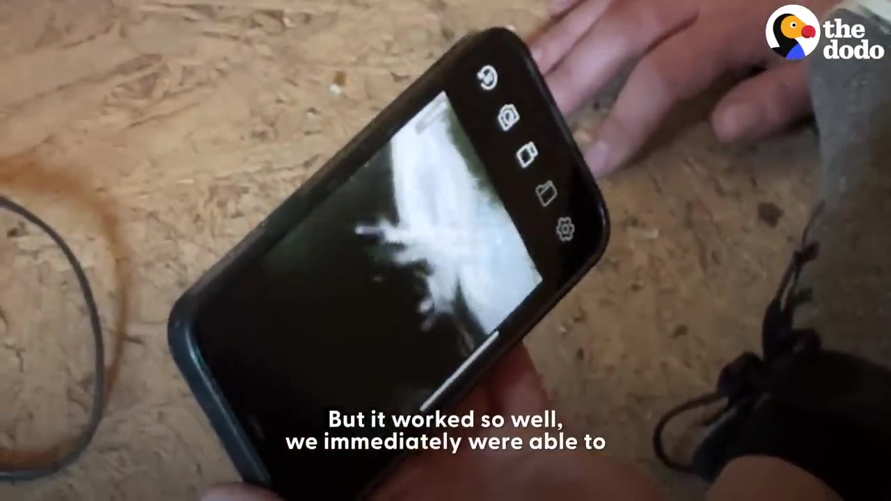 A person holds a smartphone displaying a live camera feed on its screen.