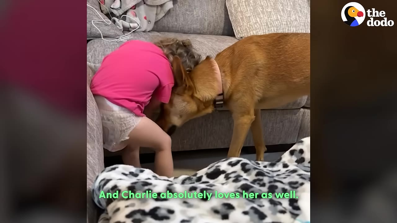A young toddler in a pink shirt leans her head affectionately against a tan dog's head by a grey sofa.
