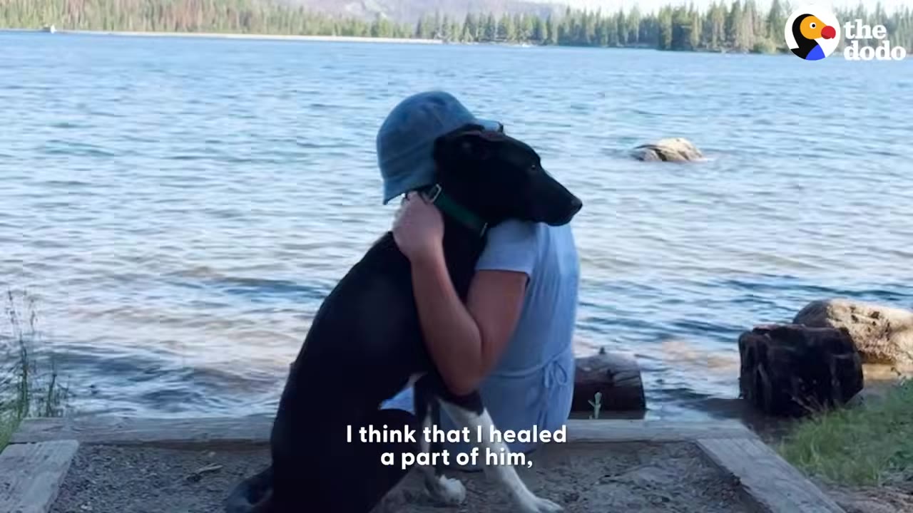 A woman wearing a blue hat hugs a black dog while sitting outdoors near a lake.
