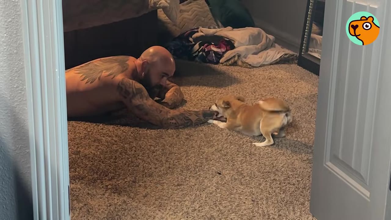 A tattooed man lying on a carpeted floor playing with a small tan dog indoors.