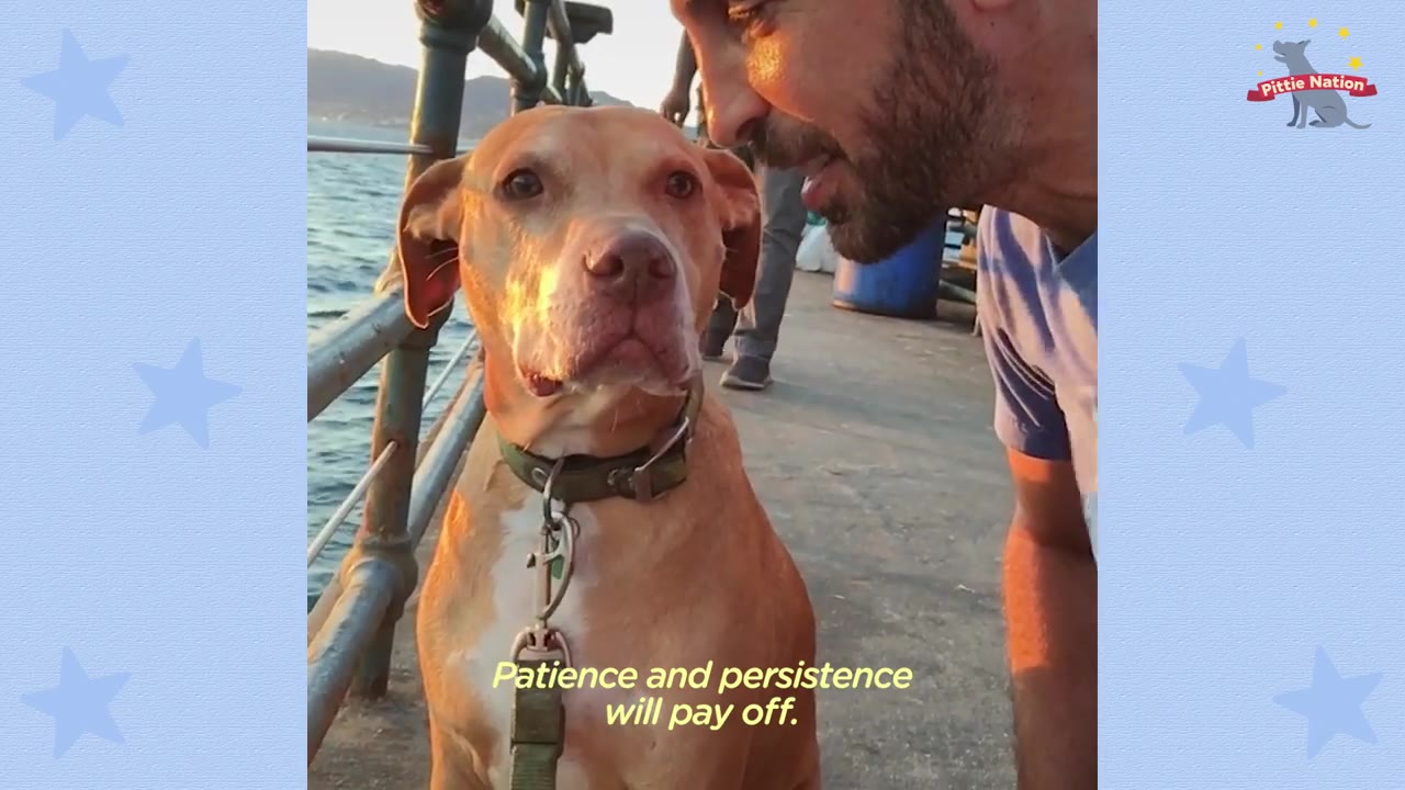 A tan dog sitting on a pier next to its owner who leans in close, lit by warm evening sunlight.