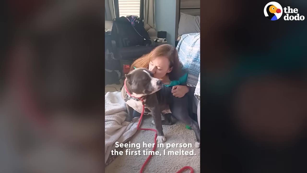 A woman with long brown hair kisses a grey and white pit bull on the head while sitting on a carpeted floor, with the text 'Seeing her in person the first time, I melted.' on the screen.