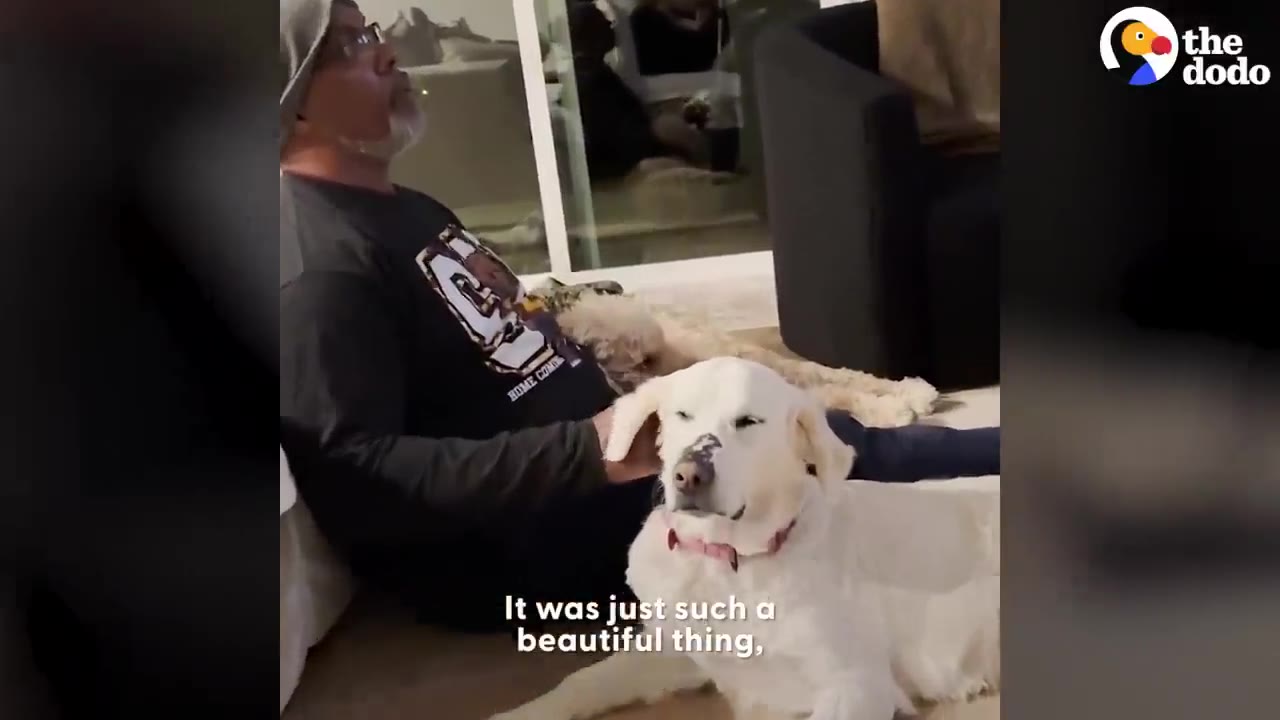 An older man with glasses and a grey cap sits on the floor petting a white dog named Dove who is lying down next to him.