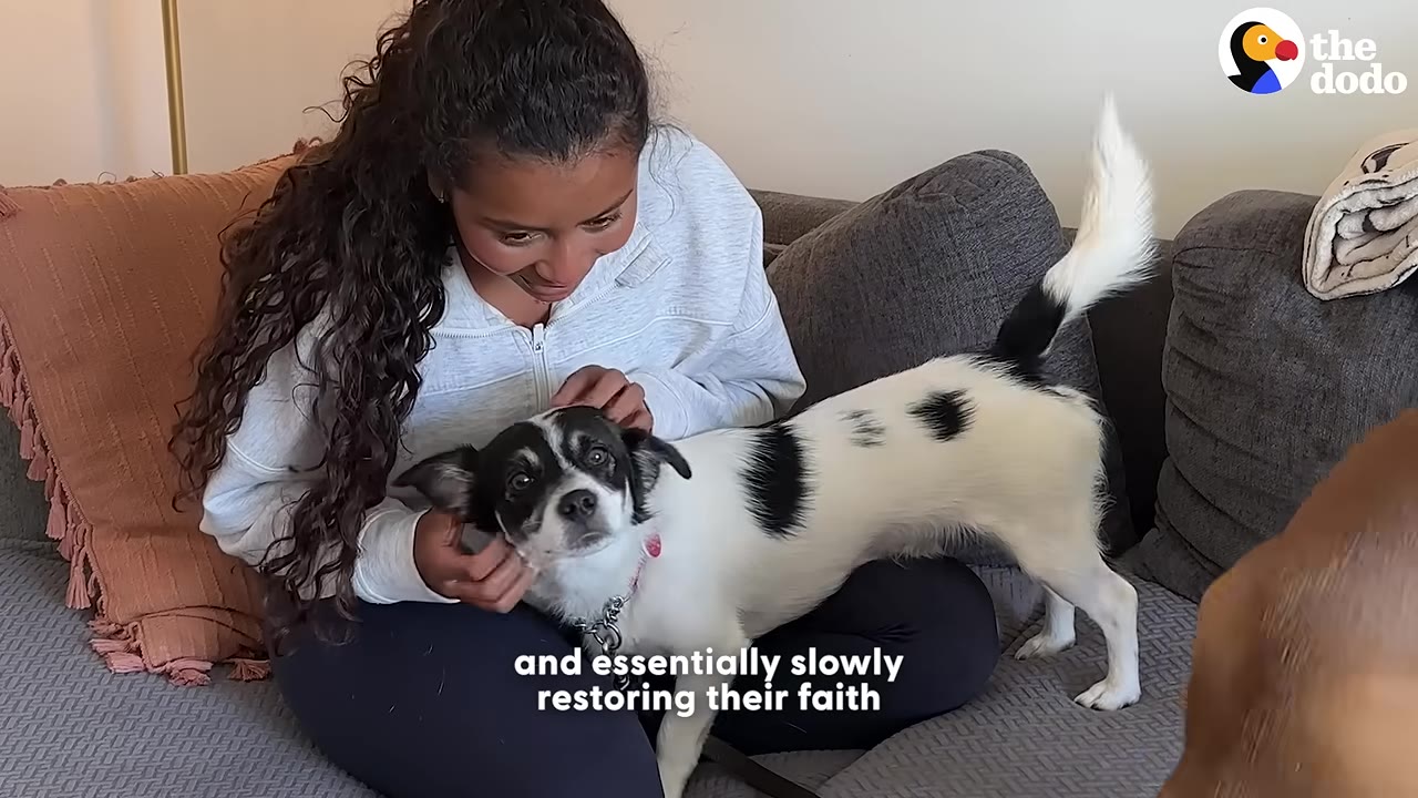 A woman with long curly hair sits on a grey couch, smiling as she gently pets a small black and white dog named Sammy, who stands on her lap with its tail raised.