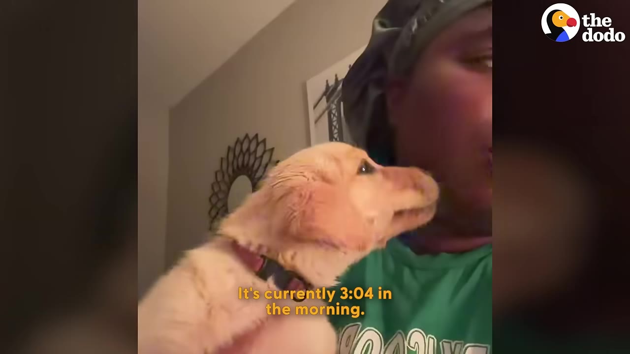 A woman wearing a grey sleep bonnet holds a golden puppy close to her face at 3:04 in the morning.