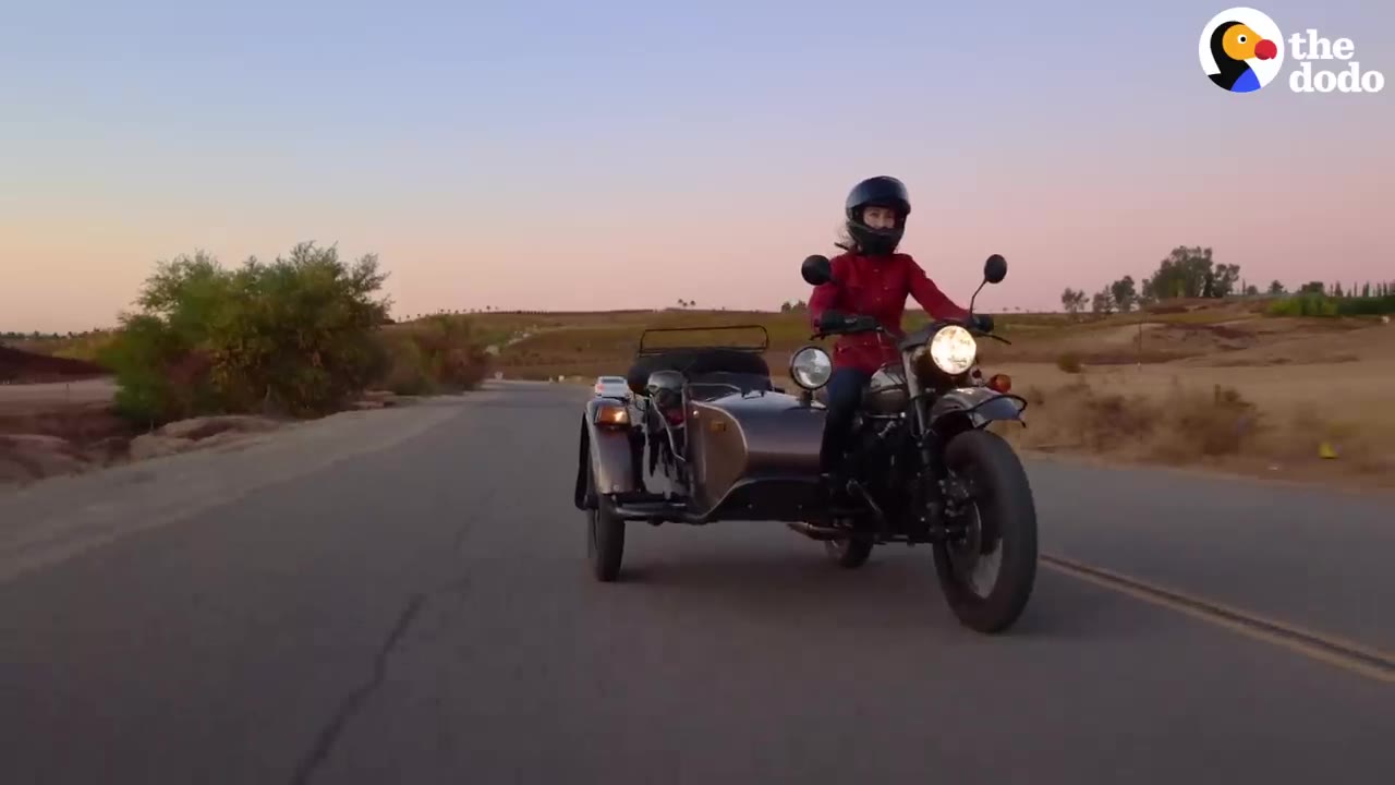 A person in a red jacket and helmet riding a motorcycle with a sidecar down an open road.