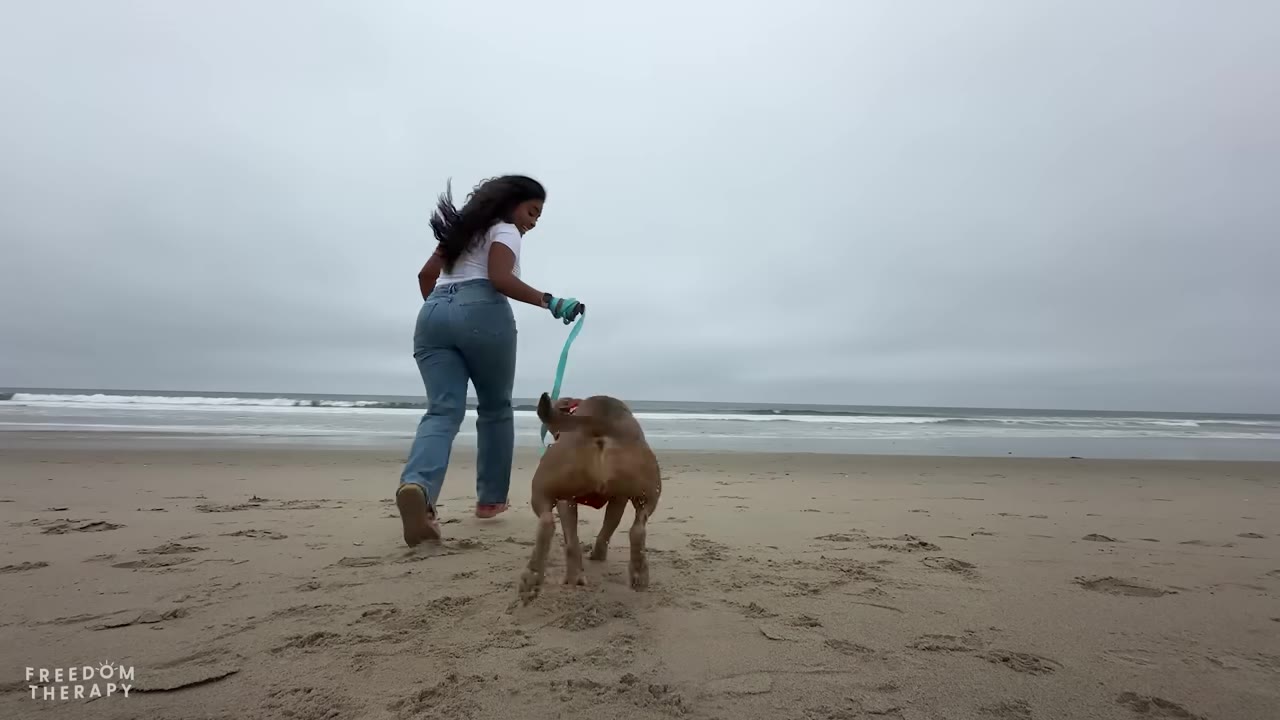 A volunteer in a white t-shirt and blue jeans runs on a sandy beach towards the ocean waves, holding a leash attached to a brown dog running beside her.