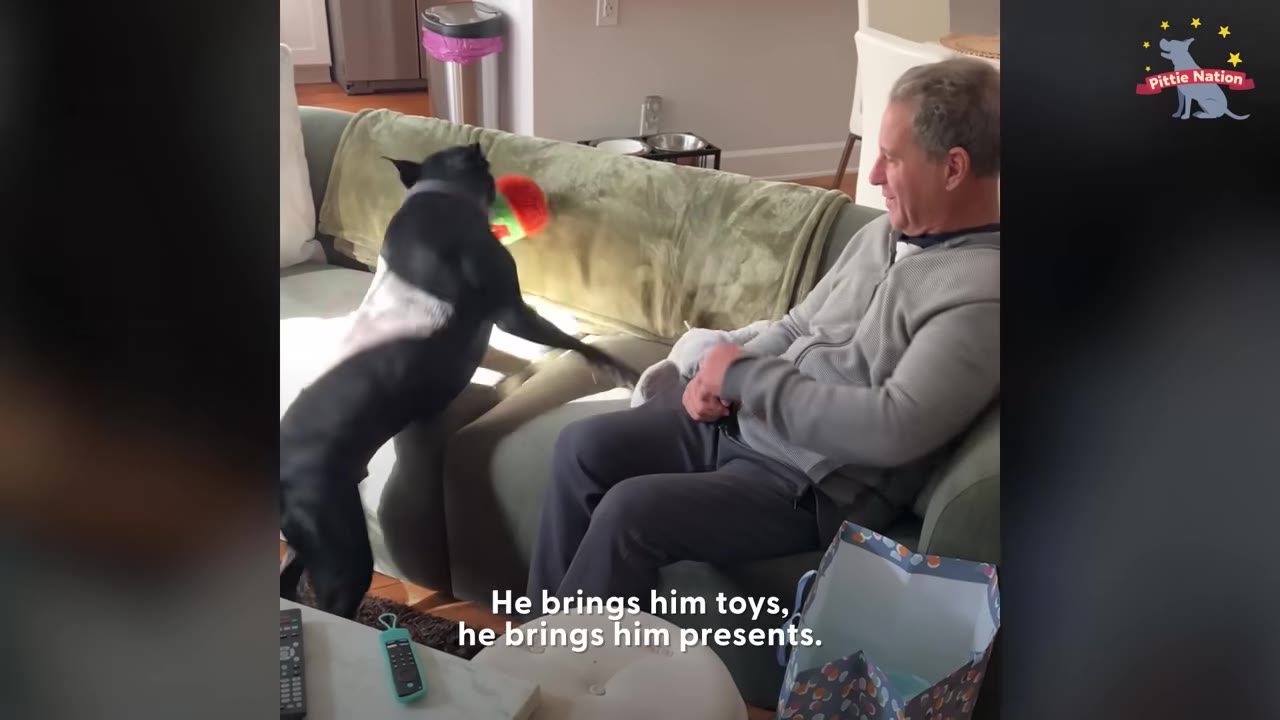 A man sitting on a sofa smiles as a black dog jumps up next to him with a colorful toy.