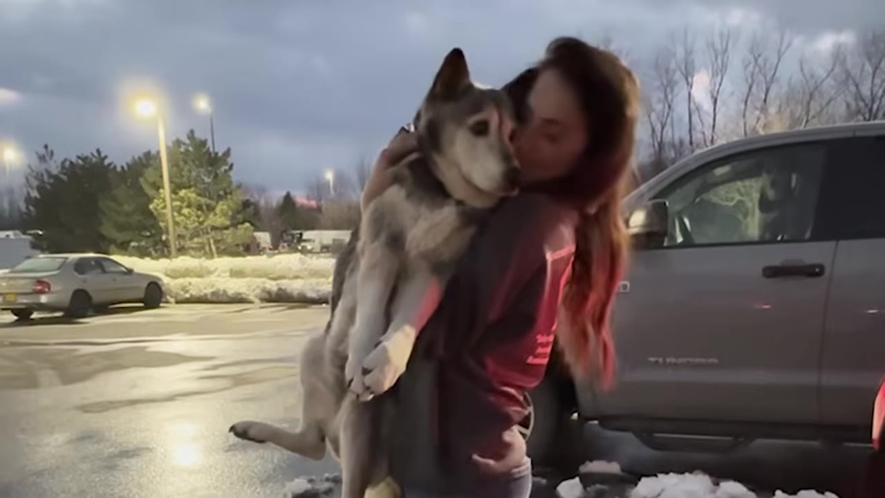 A woman holding and hugging a large husky dog in a parking lot next to a truck.