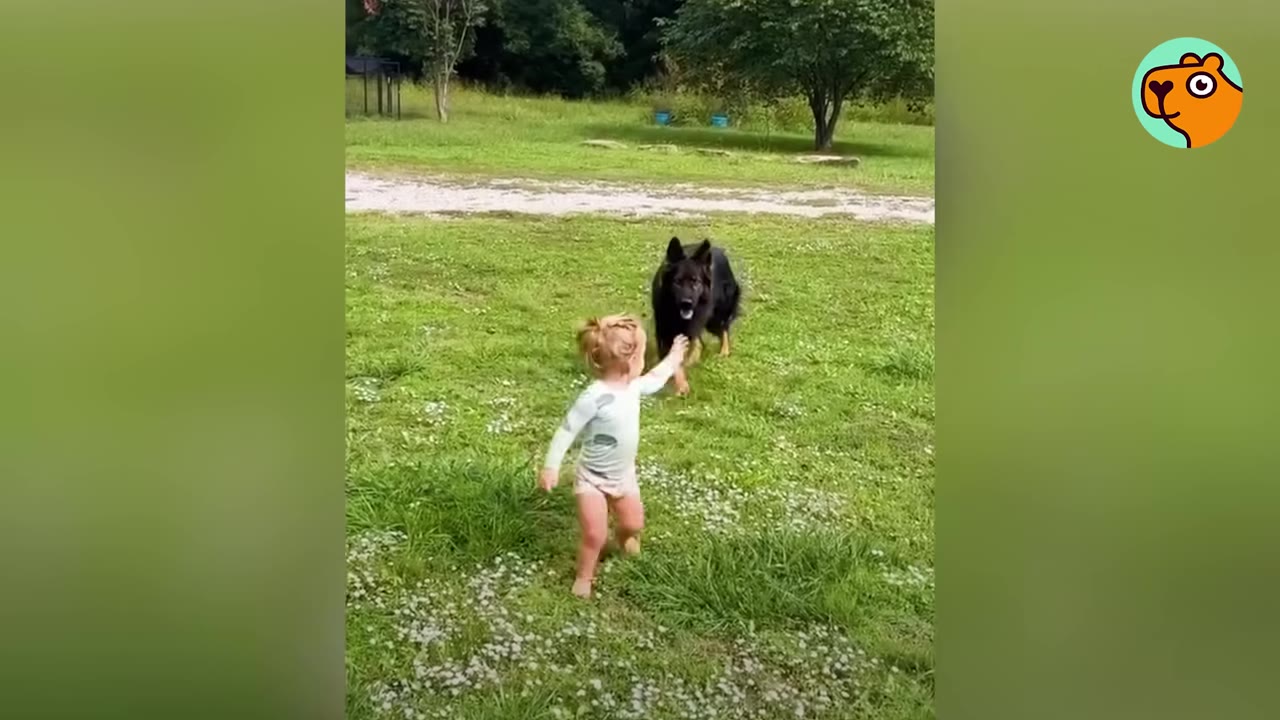 A young girl standing on a grassy lawn with her arm raised toward a German Shepherd standing in front of her.