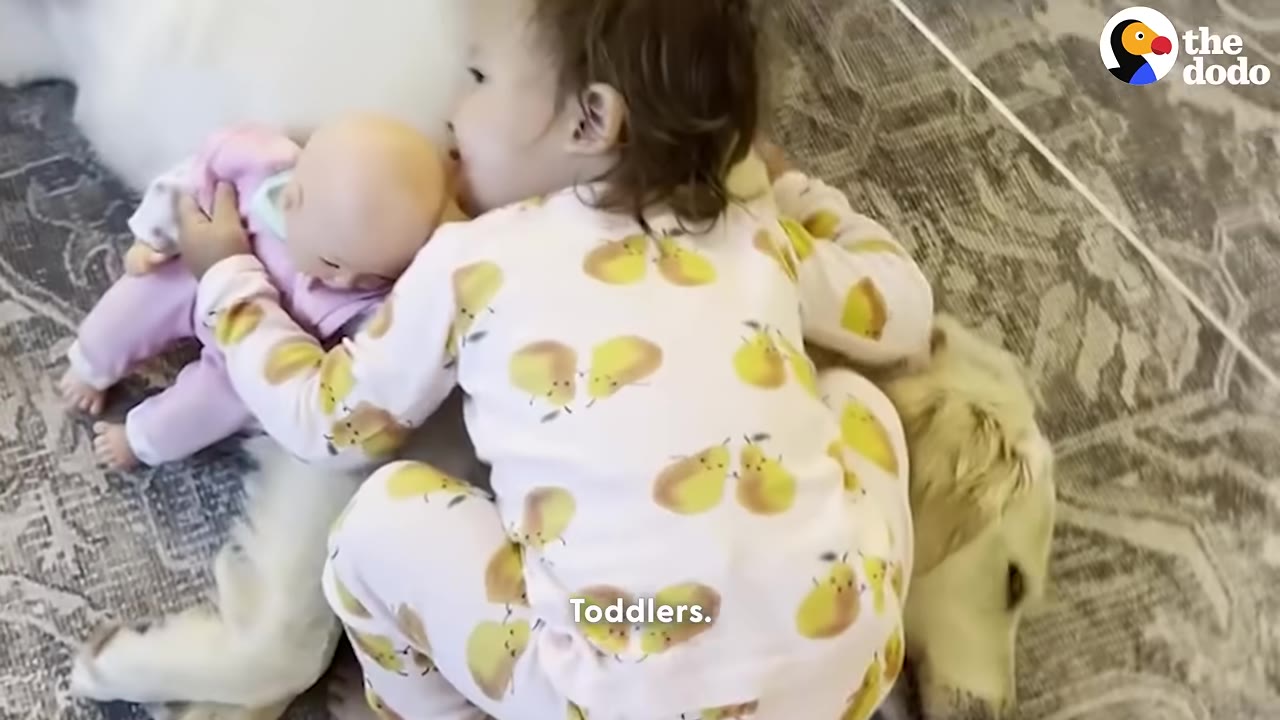 A toddler in pear-patterned pajamas lies on top of a golden retriever resting on a patterned rug.