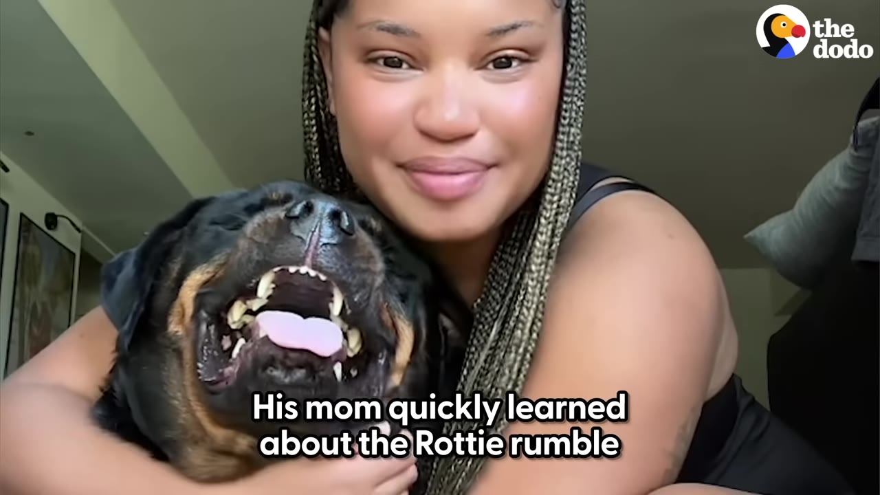 A woman hugging a smiling Rottweiler named Blake, who has his mouth wide open.