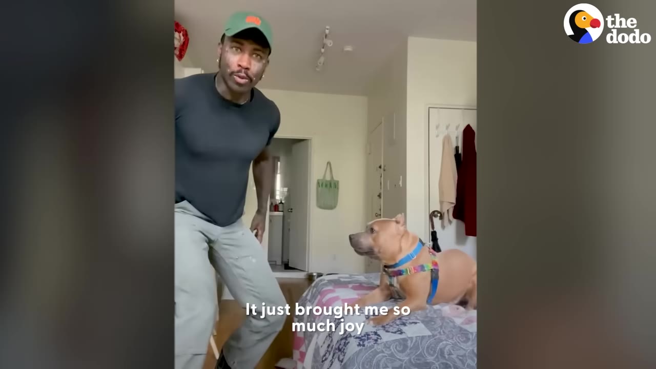 A man wearing a green hat and black shirt dancing inside an apartment while a brown dog in a colorful harness sits on a bed watching him.