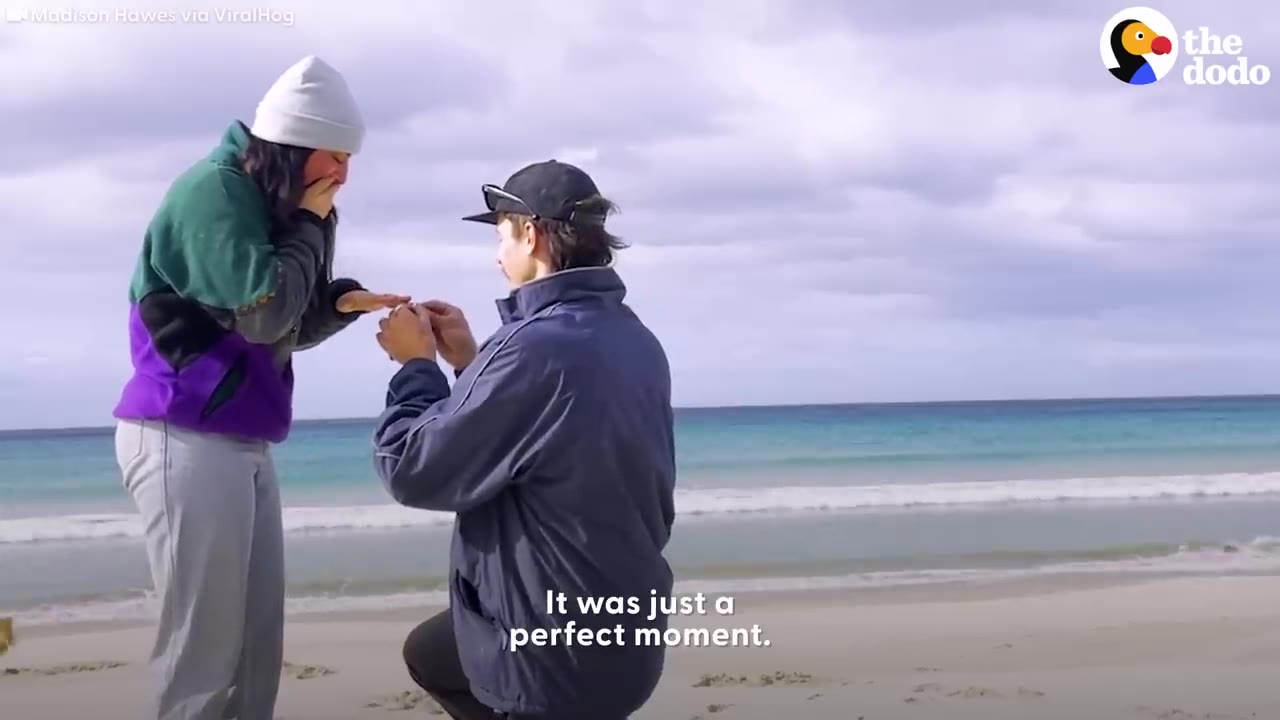 A man kneeling on one knee on a sandy beach proposing to a woman near the ocean.