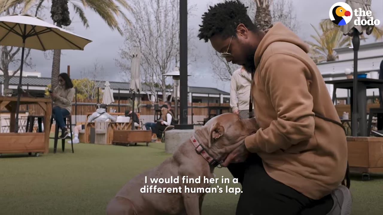 A man in a brown hoodie kneeling down and holding a tan dog close to his lap in an outdoor patio area.