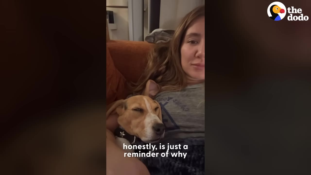 A dog sleeping peacefully while resting its head on a woman's chest indoors.