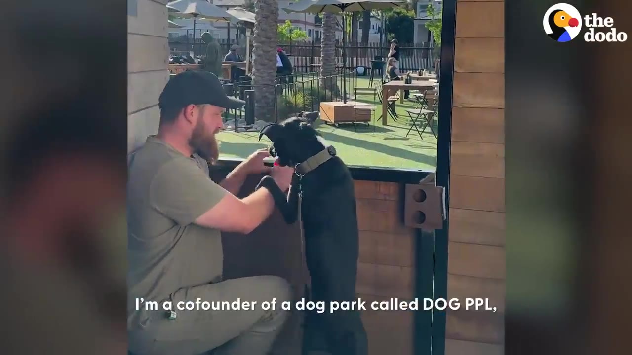 A man kneeling down to interact closely with a black dog standing up on its hind legs against a wooden gate.