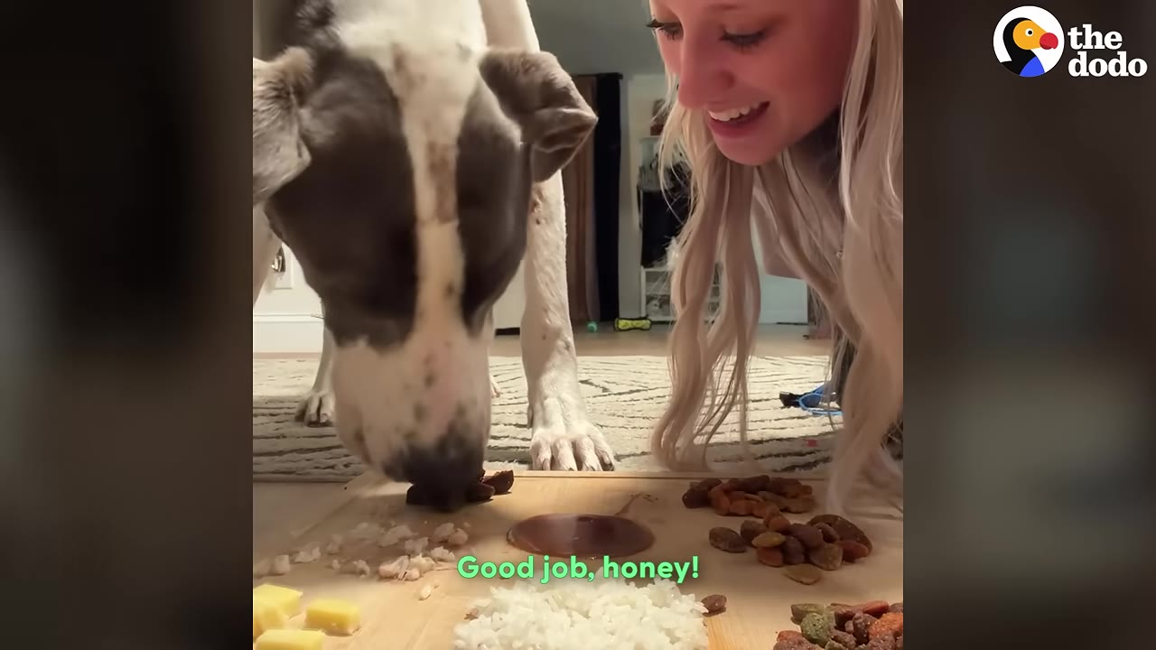 A woman with long blonde hair smiles as she watches a large black and white dog eat food from a wooden board on the floor.