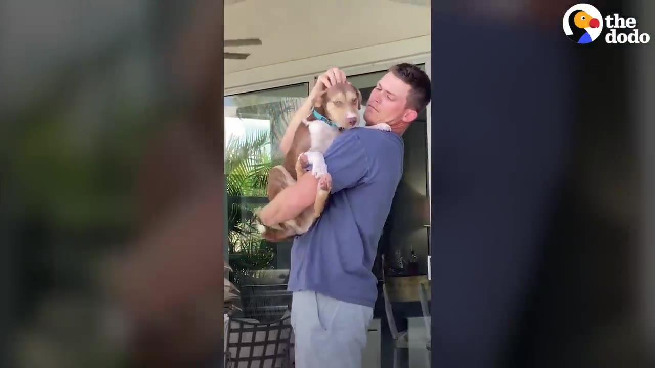 A man holding a brown and white dog in his arms while gently petting her head.