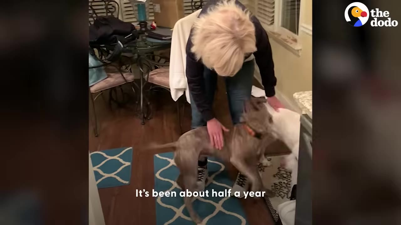 A woman with short blonde hair stands in a room, petting a brindle-colored dog standing on a blue patterned rug.