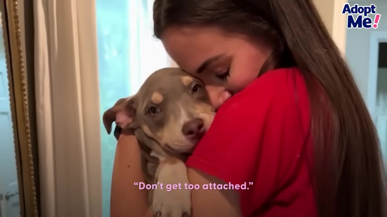A young woman wearing a red shirt cuddling a small gray and tan puppy close to her chest.