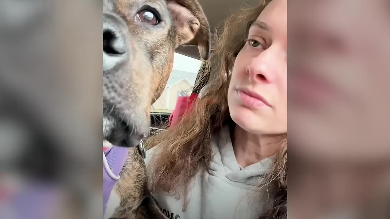 A close-up shot of a woman with a pensive, bittersweet expression looking off-camera next to a brindle dog in a vehicle.