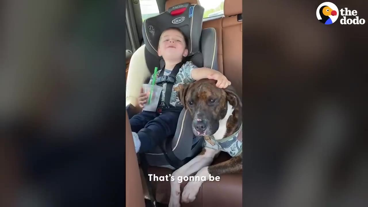 A young boy sitting in a car seat resting his hand on the head of a brindle dog sitting beside him.