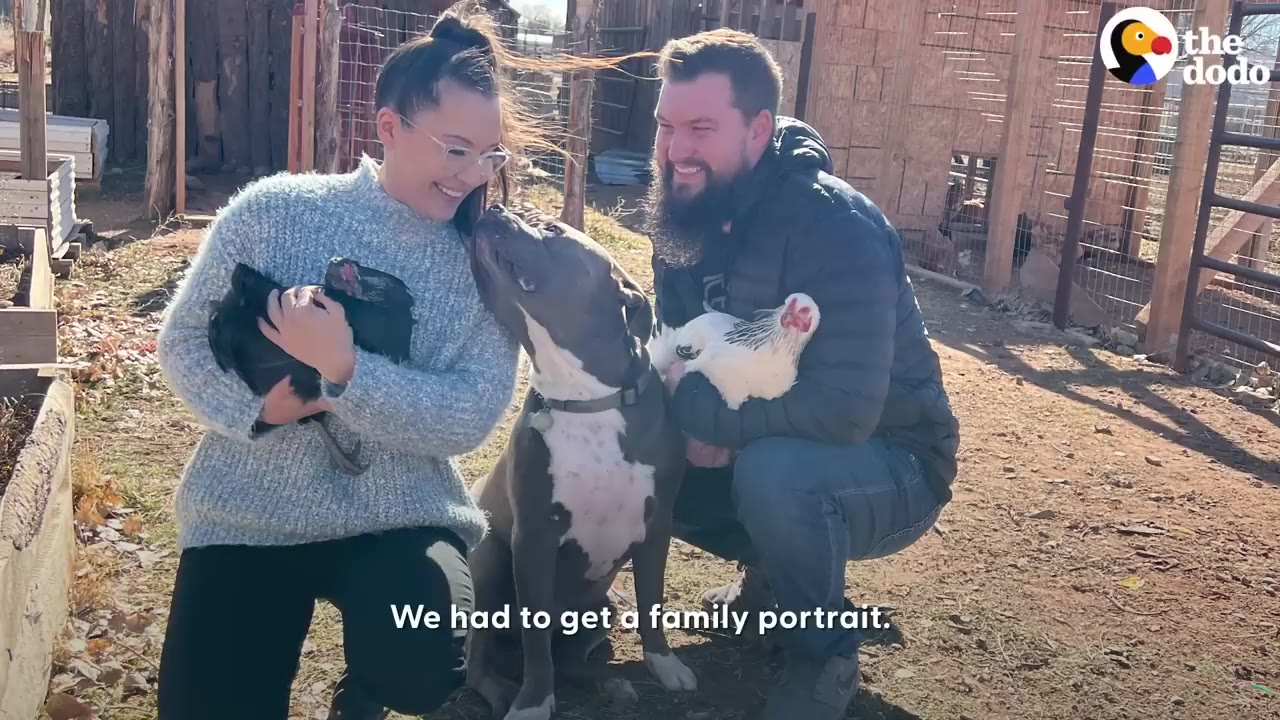 A man and a woman holding chickens kneel outdoors beside a pit bull dog that looks up affectionately at the woman.