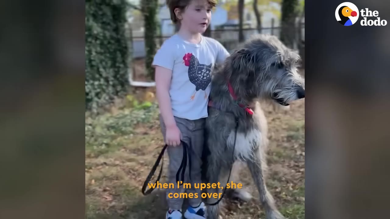A young boy standing next to a large, grey Irish Wolfhound dog outdoors, with the dog leaning close to him.