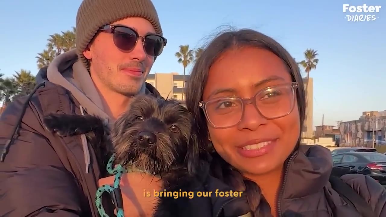 A smiling man wearing sunglasses and a beanie holds a small, fluffy black dog next to a smiling woman wearing glasses, with palm trees and buildings in the background under a clear sky.