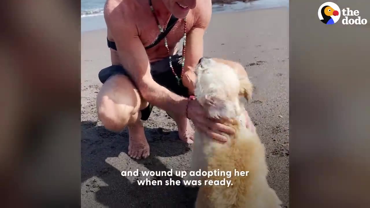 A man crouching on a sandy beach while petting a small fluffy dog with both hands.