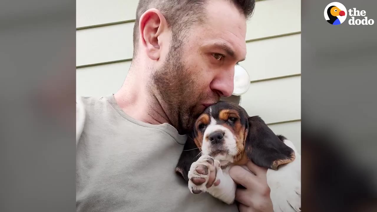 A man kissing the top of a small tri-color basset hound puppy's head while holding it close.