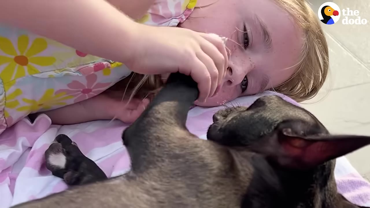 A young girl with freckles lies on a pink and white blanket, holding the paw of a small dark dog lying next to her.