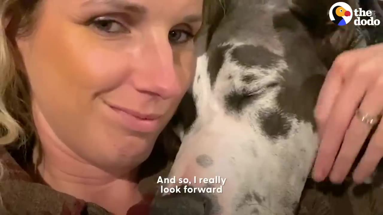A woman smiling closely beside a large spotted dog resting its head against her.