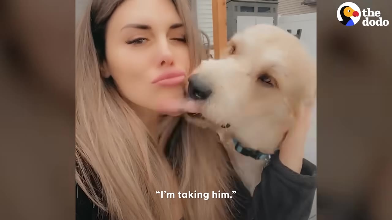 A woman holding a light golden dog close while the dog licks her cheek.